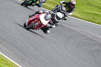 anglesey;brands-hatch;cadwell-park;croft;donington-park;enduro-digital-images;event-digital-images;eventdigitalimages;mallory;no-limits;oulton-park;peter-wileman-photography;racing-digital-images;silverstone;snetterton;trackday-digital-images;trackday-photos;vmcc-banbury-run;welsh-2-day-enduro